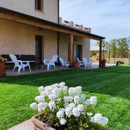 Casa Montefiore 13 Girasoli Lt Nella Tranquilla Campagna Marchigiana Ancona Dış mekan fotoğraf
