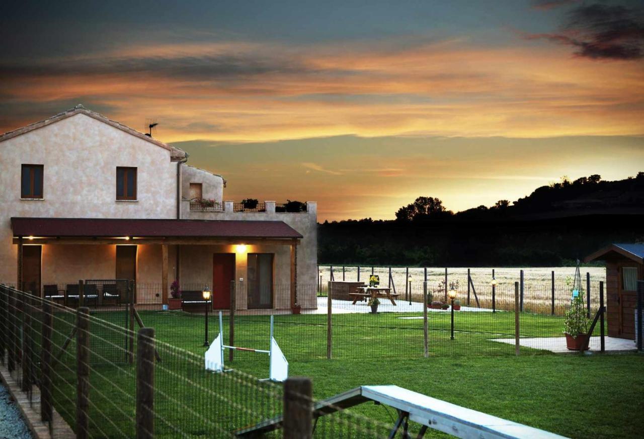 Casa Montefiore 13 Girasoli Lt Nella Tranquilla Campagna Marchigiana Ancona Dış mekan fotoğraf